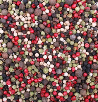 Different kinds of pepper can use as spice background