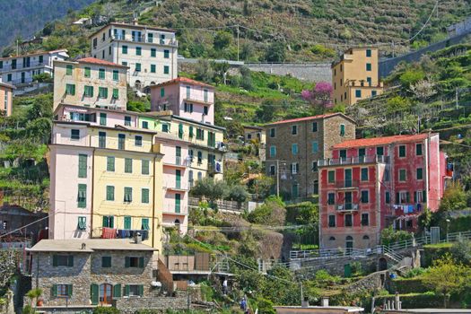 Italy. Cinque Terre. Riomaggiore