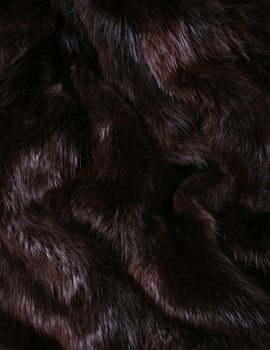 The  brown fur of a beaver 