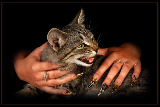 Human fingers with long fingernail and beautiful manicure isolated on black