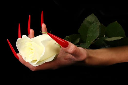 Human fingers with long fingernail and beautiful manicure isolated on black
