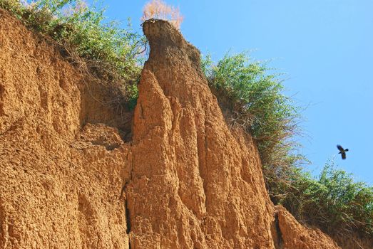 Multiple cracking of weathered soil with bushes on top