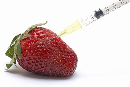 Genetic food engineering concept with Strawberry and syringe