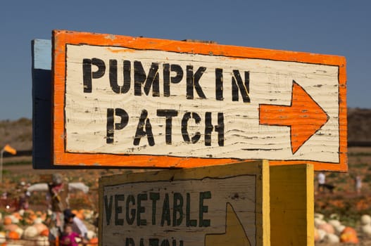 Pumpkin patch and sign