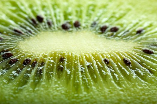 Macro view of a kiwi fruit.