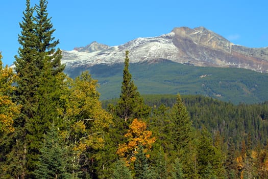 Pyramid Mountain rises high above the forests near the Canadian town of Jasper.