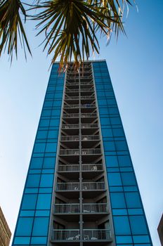 modern glass silhouettes on modern building and palm tree