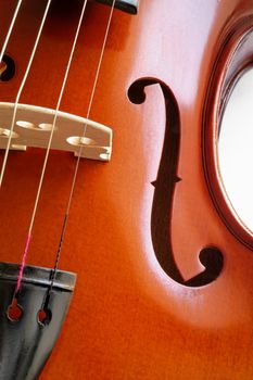 Musical instruments: violin closeup showing the bridge (15)