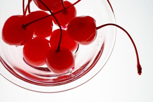 Preserved cherries with stalk on a glass cup over light table (illuminated from below - top)