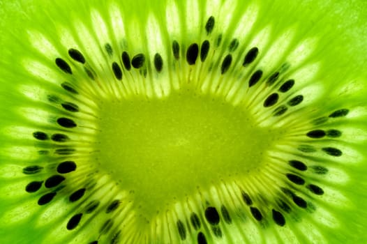 Kiwi fruit  slice on a light table 2 (back lighted)