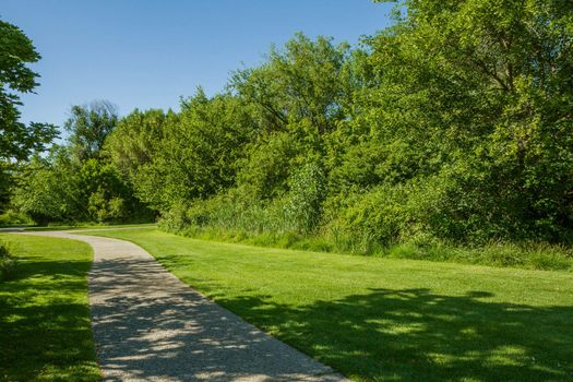 Trail in the grass surrounded by trees. 