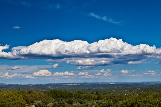 View of a distant city with trees in foreground and blue sky with white clouds above