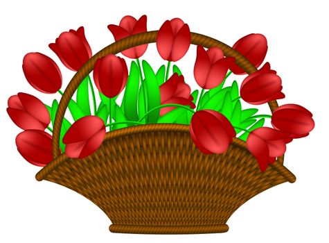 Weaved Basket of Happy Easter Day Red Tulips Flowers Illustration Isolated on White Background