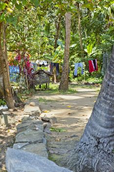 Vertical portrait of rural Kerala India, a forest village with washing line on wash day, crop margins and empty spaces
