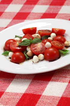 Photo of a Caprese salad with tomato, mozzarella, basil, balsamic and olive oil. 