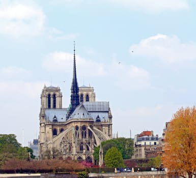 Cathedral Notre Dame, Reims, Champagne, Paris France, closeup