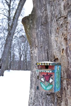 winter birdseed on the painted nesting-box in the park