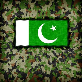 Amy camouflage uniform with flag on it, Pakistan