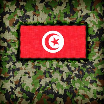 Amy camouflage uniform with flag on it, Tunisia