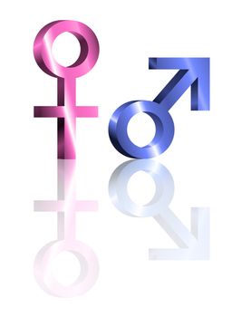 Illustration depicting metallic blue and pink male and female symbols arranged over white and reflecting into the foreground.