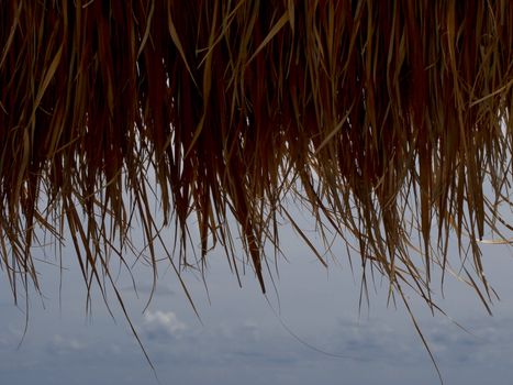 Ocean viewed from under a straw parasol