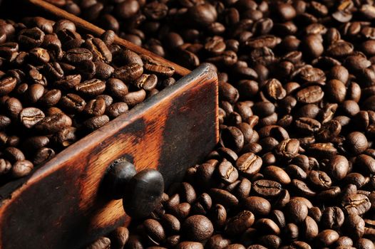 closeup of coffee beans, shallow dof 