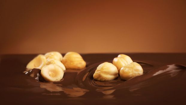 Hazelnuts dropped in chocolate