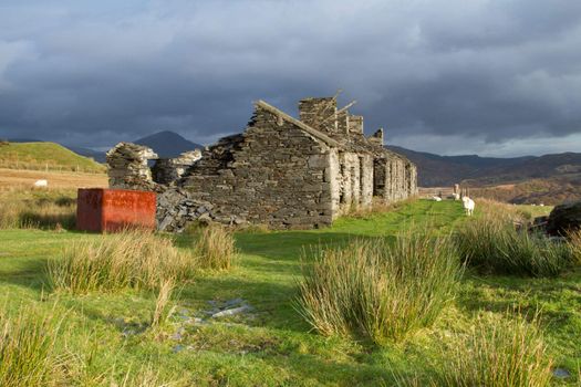 Abandonned quarry cottages, run down and derelict with an old rusty water tank, sheep roaming on green grass and dark mountains under a grey cloudy sky in the distance.