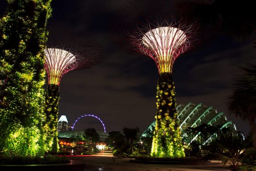 garden by the bay , the most beautiful garden in singapore