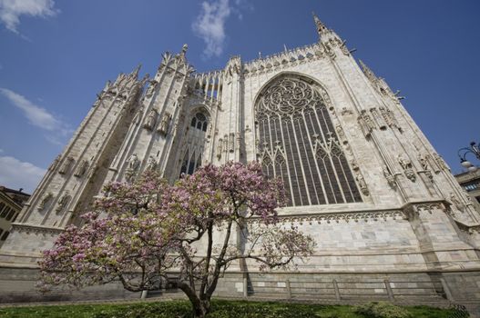 The Dome of Milan, Italy and spring tree with flowers