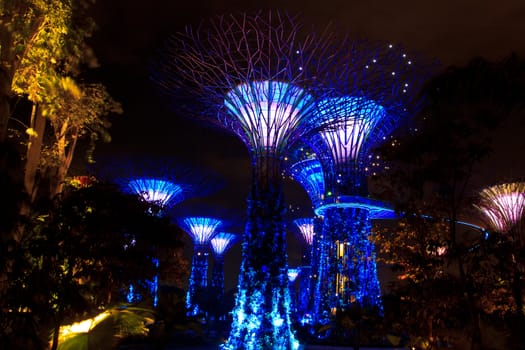 garden by the bay , the most beautiful garden in singapore