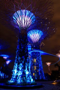 garden by the bay , the most beautiful garden in singapore