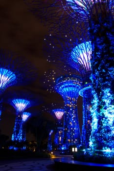 garden by the bay , the most beautiful garden in singapore