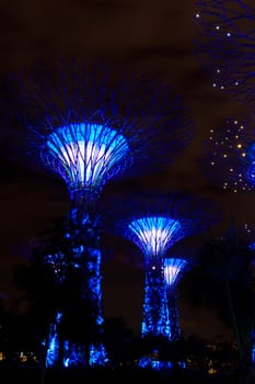 garden by the bay , the most beautiful garden in singapore