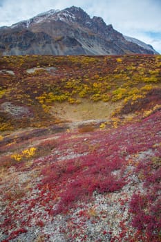 Wilderness of Alaska tundra in late fall with snow on mountains