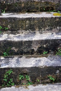 mossy concrete stairs