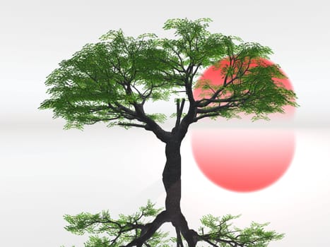 zen  landscape