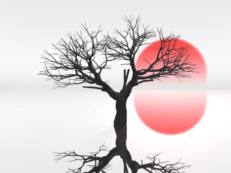 the tree and the sun