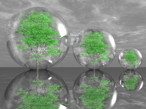 tree in a bubble
