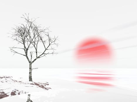 tree and sun