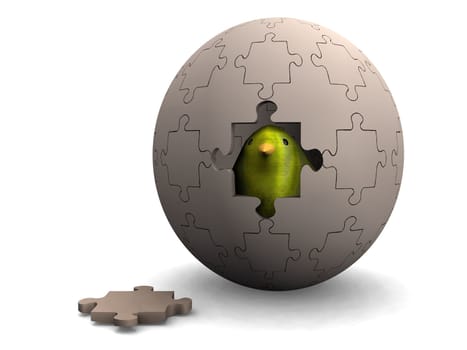 egg puzzle and chicken