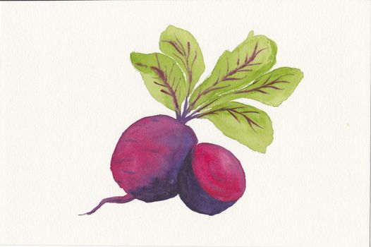 hand painted beetroot