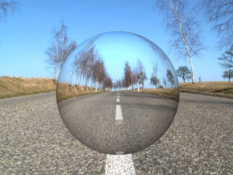 the road and birch