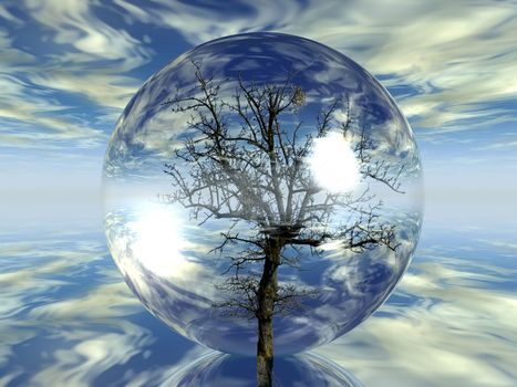 tree in a bubble