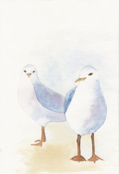 hand painted seagulls