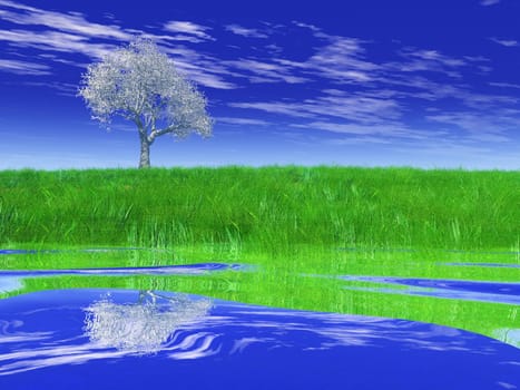 spring tree