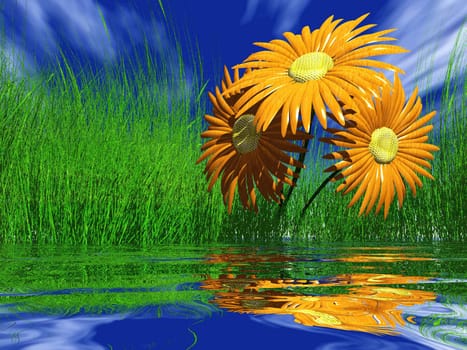 flowers and grass