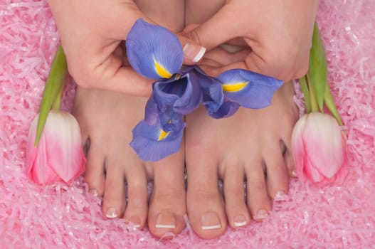 Spa, pedicure and manicure with tulips and iris