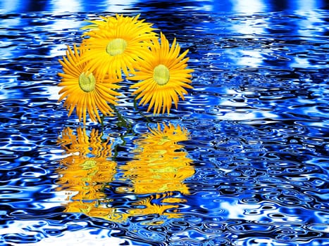flower and water