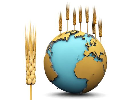 earth and wheat